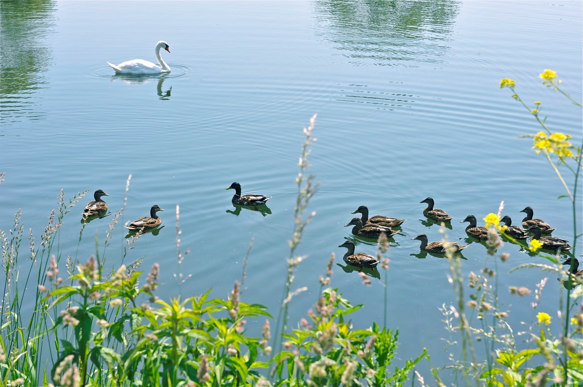 A l'extérieur du camping Camping Les Rosiers - Somme