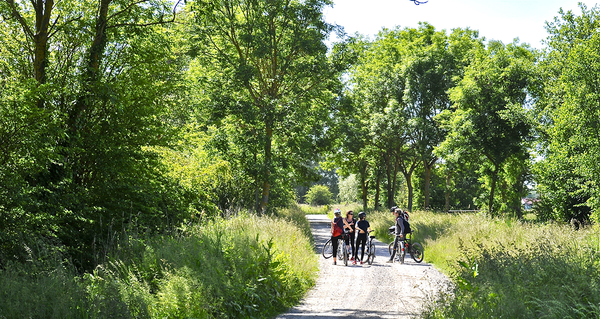A l'extérieur du camping Camping Le Préjoly - Nord