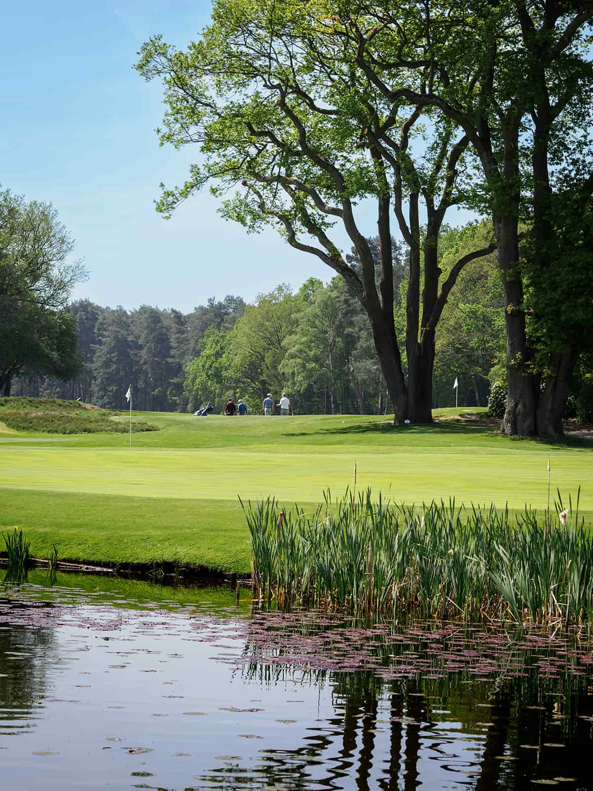 A l'extérieur du camping Camping Polder et Vacances - Nord