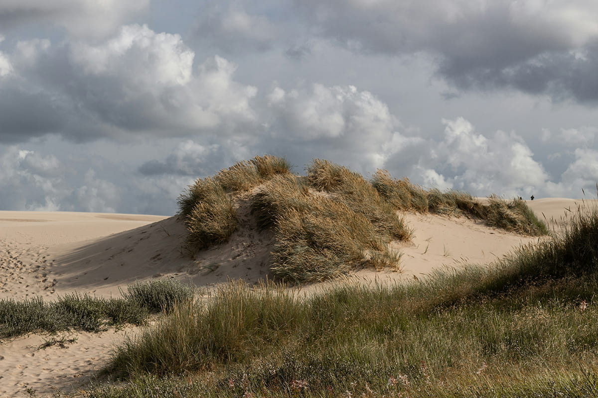 A l'extérieur du camping Camping Polder et Vacances - Nord