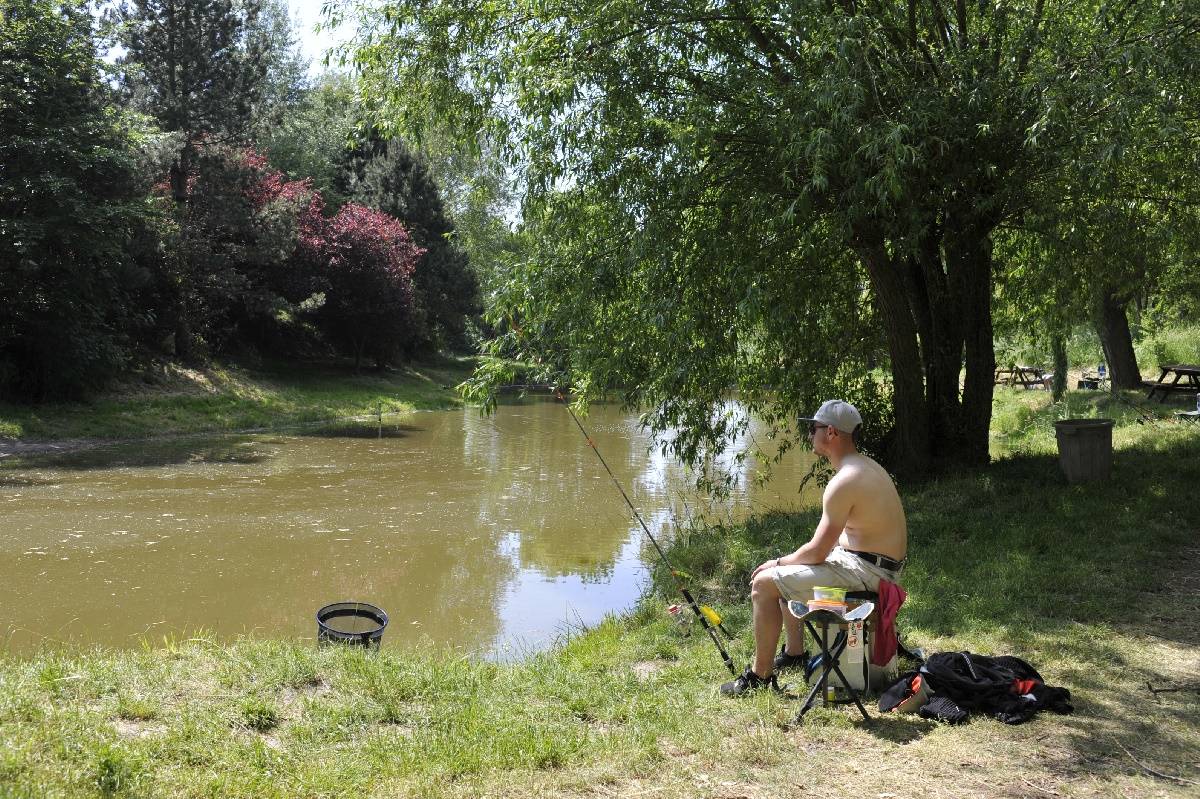 Activité à faire dans le camping Ferme de la Hooghe Moote - Nord