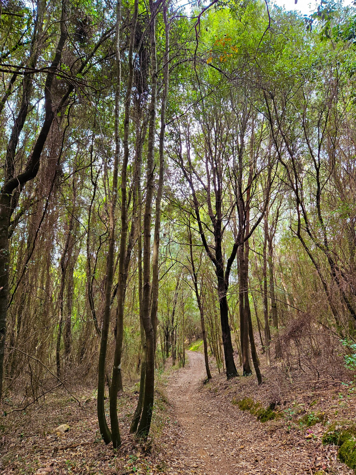 A l'extérieur du camping Camping des Carrières et Nature - Pas-de-Calais