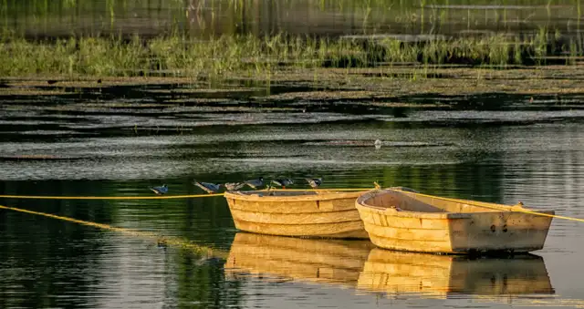 La réserve naturelle des étangs du Romelaëre