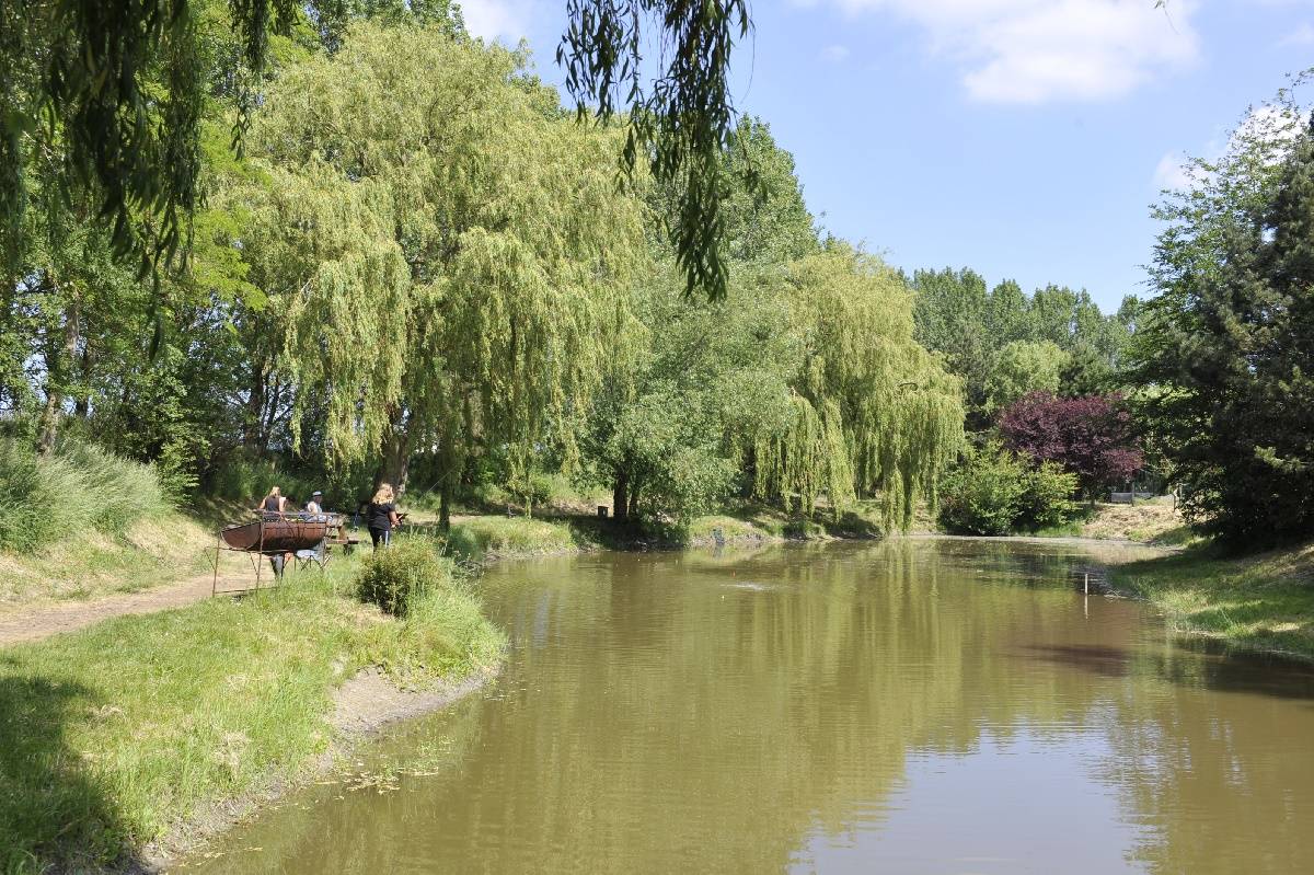 Activité à faire dans le camping Ferme de la Hooghe Moote - Nord