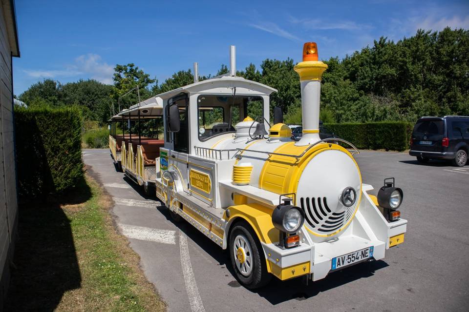 Activité à faire dans le camping Camping Le Perroquet - Nord