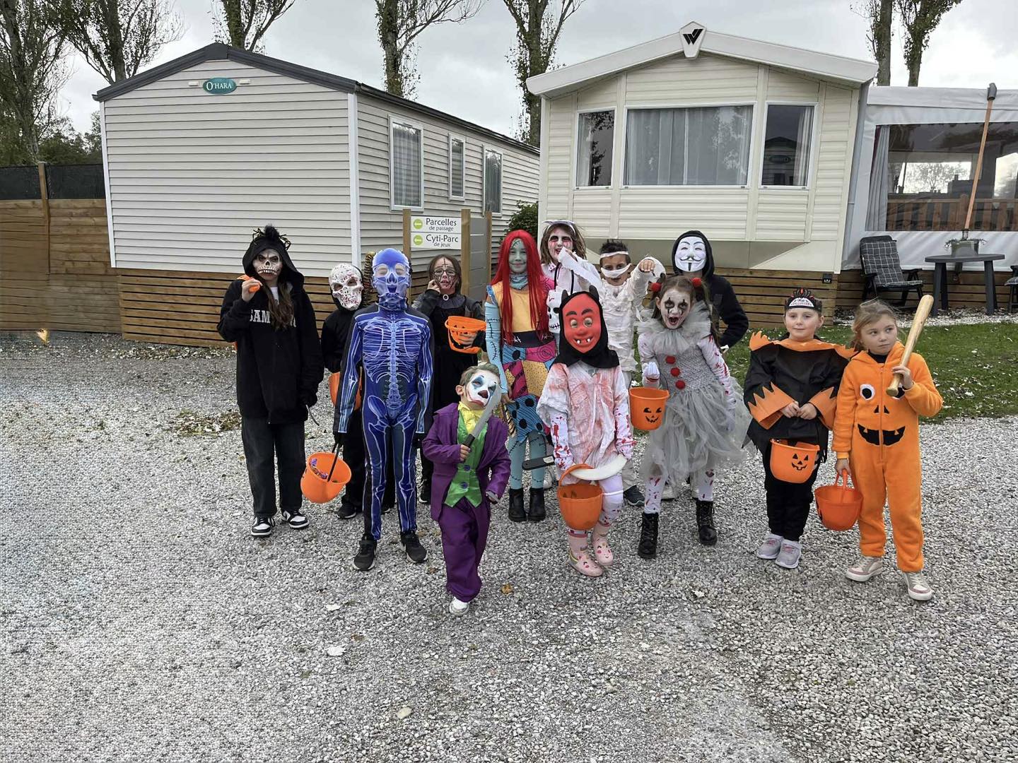 Activité à faire dans le camping Camping les Cytises - Pas-de-Calais