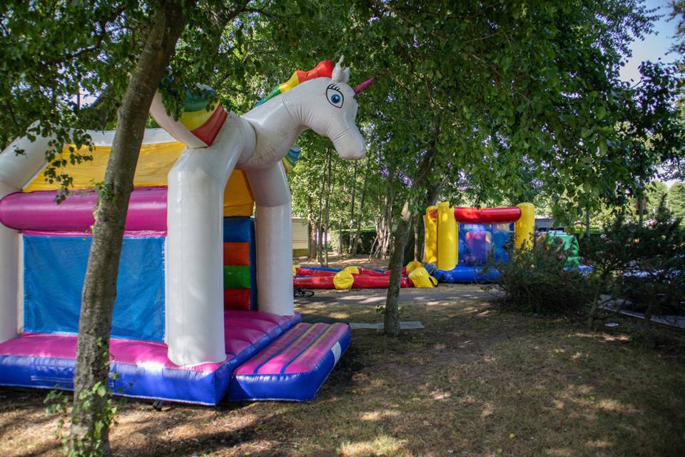 Activité à faire dans le camping Camping Le Perroquet - Nord