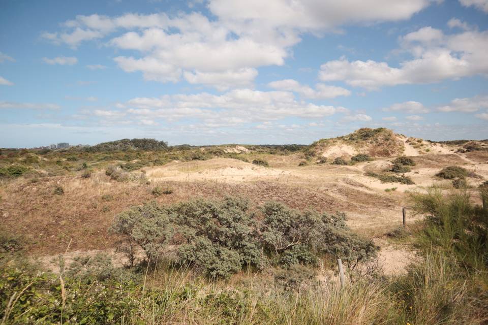 Photo du camping : Camping Le Perroquet - Nord