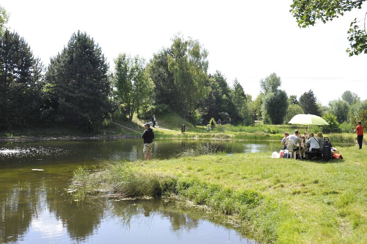 Activité à faire dans le camping Ferme de la Hooghe Moote - Nord