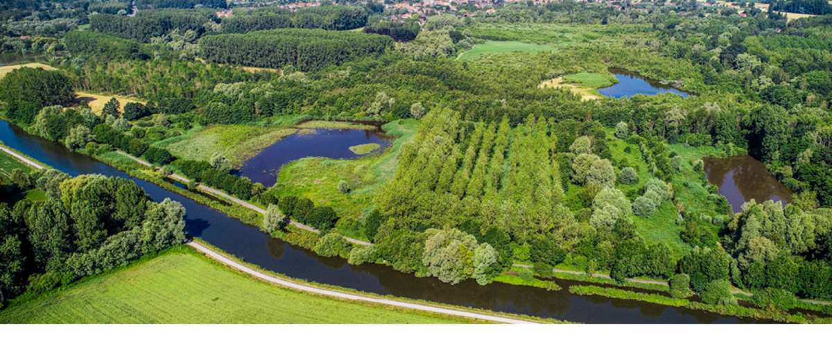 Le parc naturel régional Scarpe-Escaut