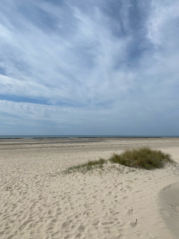 A l'extérieur du camping Camping Cristal d'Opale - Pas-de-Calais