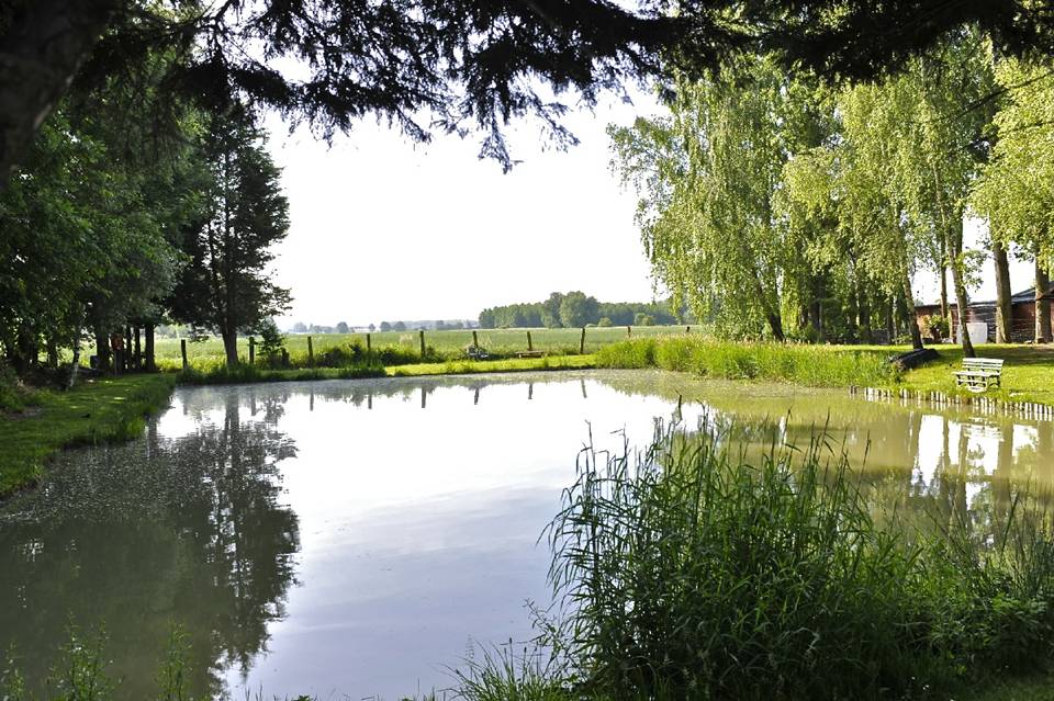 Activité à faire dans le camping Les Alouettes et l'Image - Nord