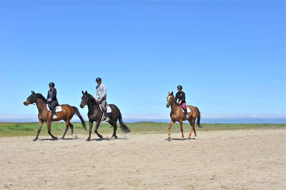 A l'extérieur du camping Camping Cristal d'Opale - Pas-de-Calais
