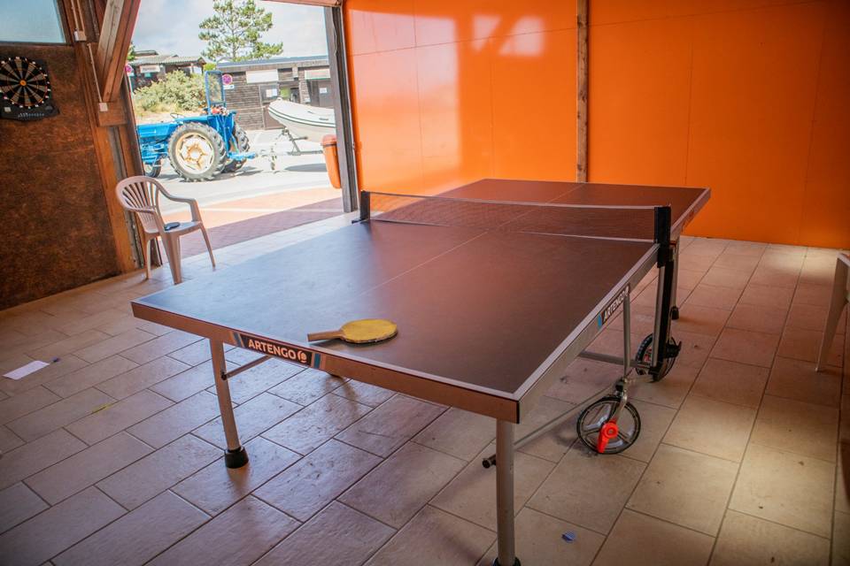 Activité à faire dans le camping Camping Le Perroquet - Nord