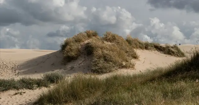 Réserve Naturelle Nationale de la Dune Marchand