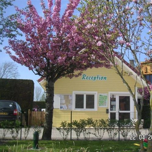 camping-motte (24).jpg