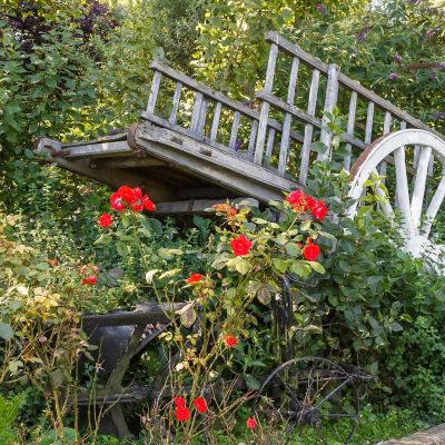 Photo du Camping La Ferme de la Hooghe Moote - Nord 59