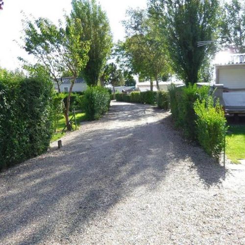 camping-motte (21).jpg