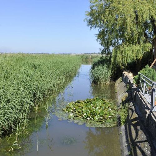 camping-cap-vert (25).JPG