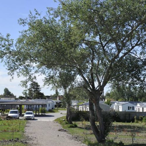 camping-plage (51)-051.jpg