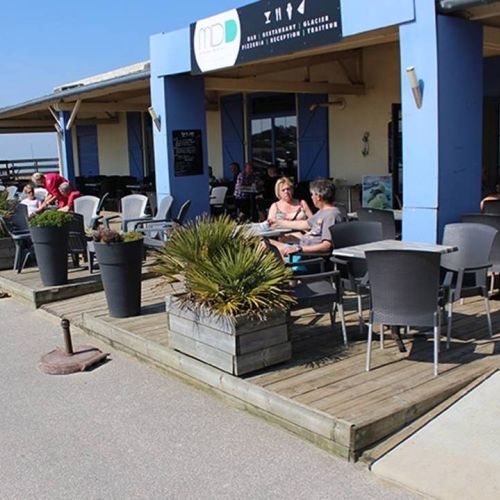 camping-perroquet (82).jpg