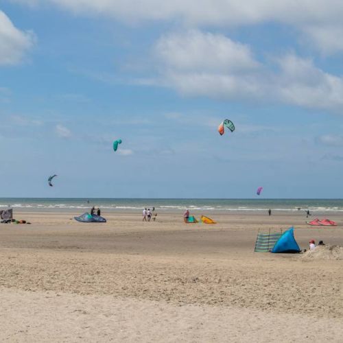 camping-perroquet (13).jpg