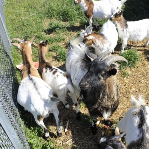 camping-plage (47)-047.jpg