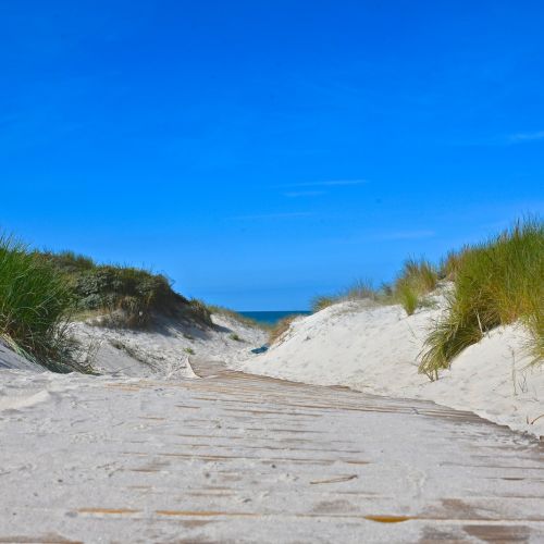 camping-cristal-dopale-21112025 (12).JPG