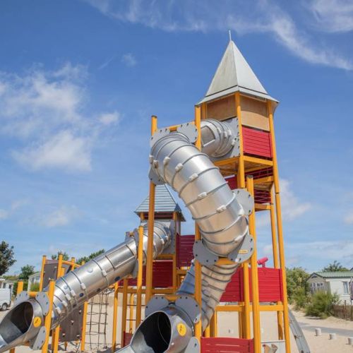 camping-perroquet (8).jpg