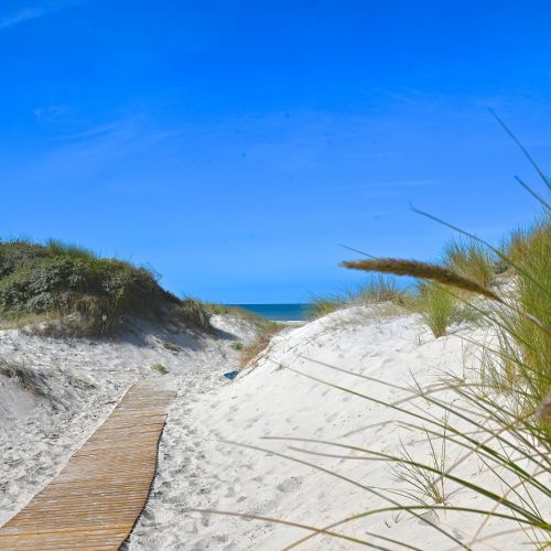 camping-cristal-dopale-21112025 (13).JPG