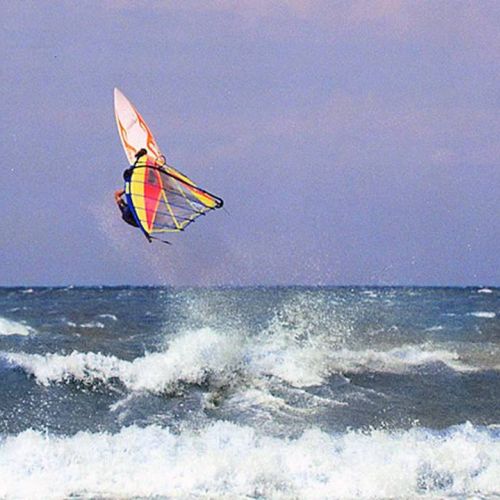 camping-perroquet (90).jpg