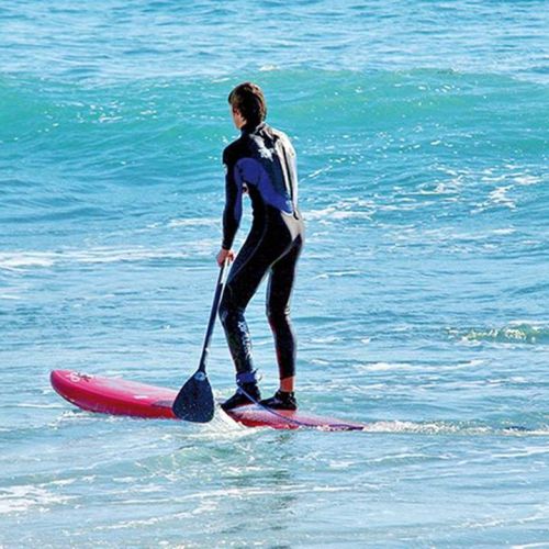 camping-perroquet (86).jpg