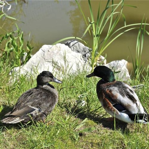 camping-plage (40)-040.jpg