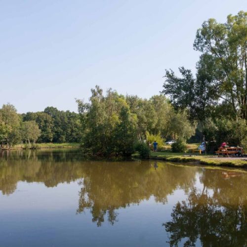 camping-hermitage (11).jpg