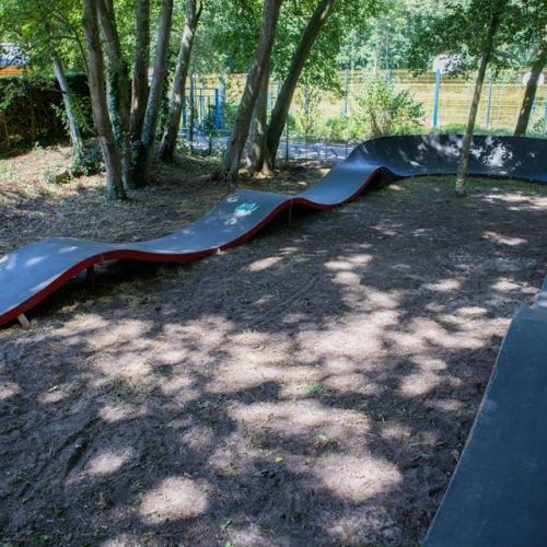 camping-perroquet (6).jpg