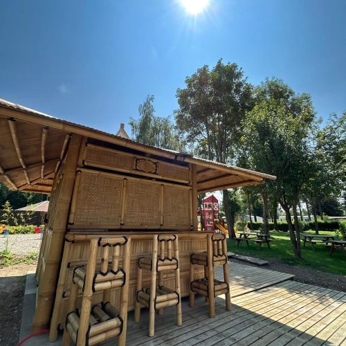 nouvel ensemble alouettes et l'image (page 5).jpeg