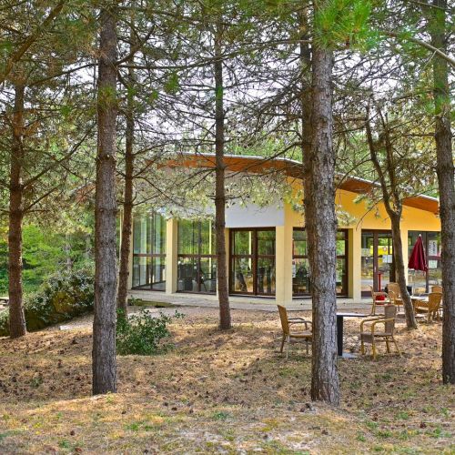 camping-cristal-dopale-21112025 (36).JPG