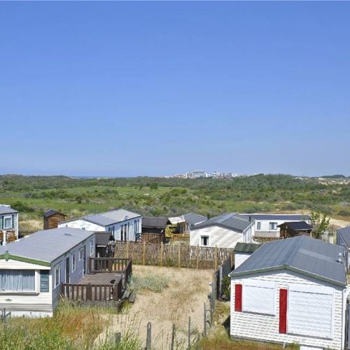 camping-perroquet (52).jpg