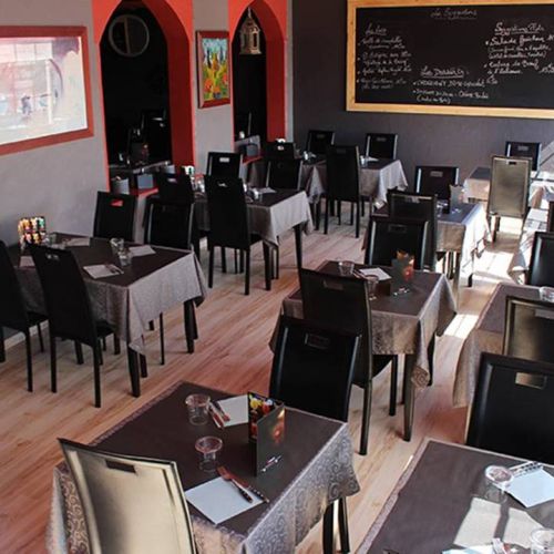 camping-perroquet (80).jpg