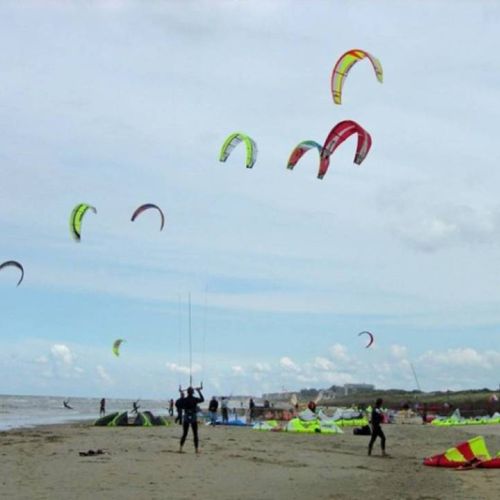 camping-perroquet (95).jpg