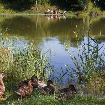 Photo du Camping La Ferme de la Hooghe Moote - Nord 59