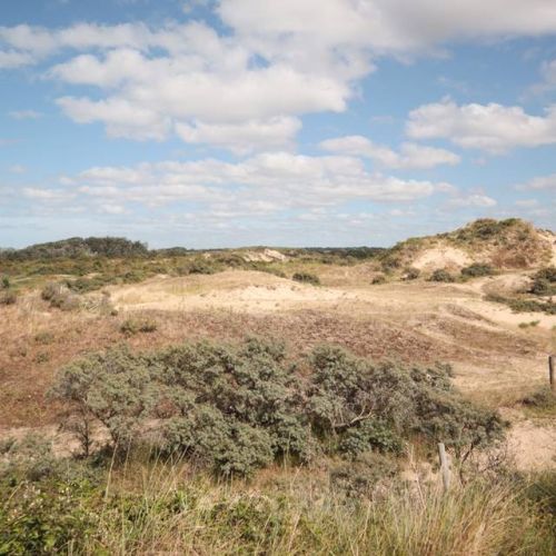 camping-perroquet (25).jpg