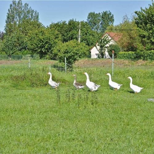 camping-cap-vert (2).JPG