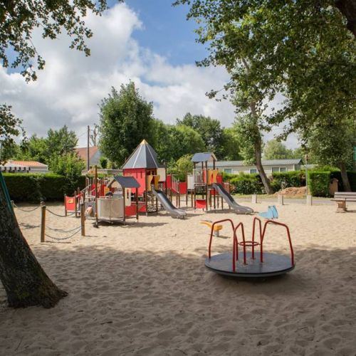 camping-perroquet (9).jpg