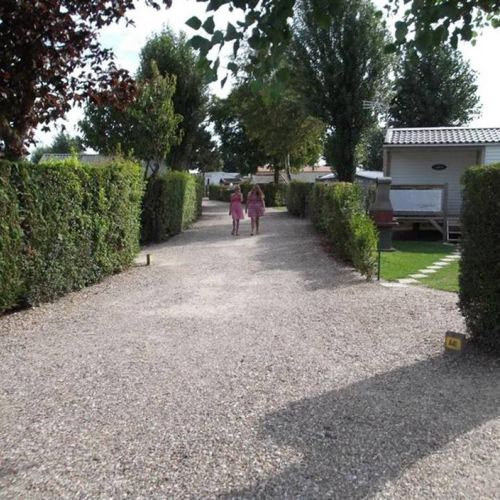 camping-motte (16).jpg