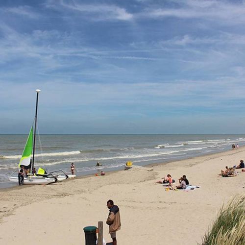 camping-perroquet (72).jpg