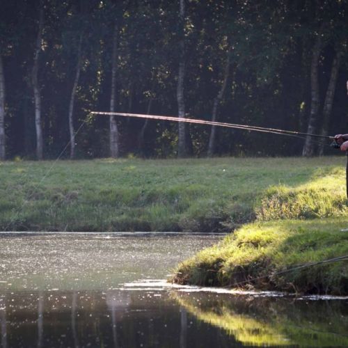 camping-hermitage (10).jpg