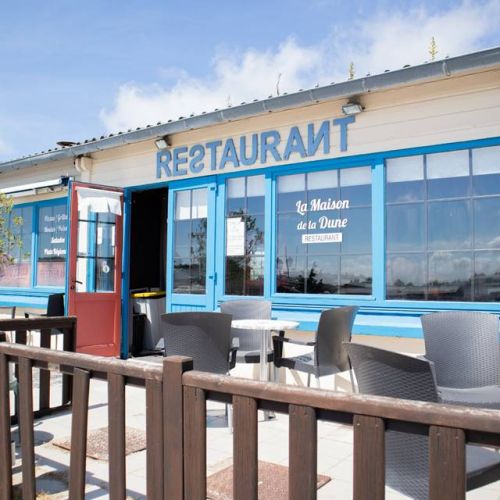 camping-perroquet (7).jpg