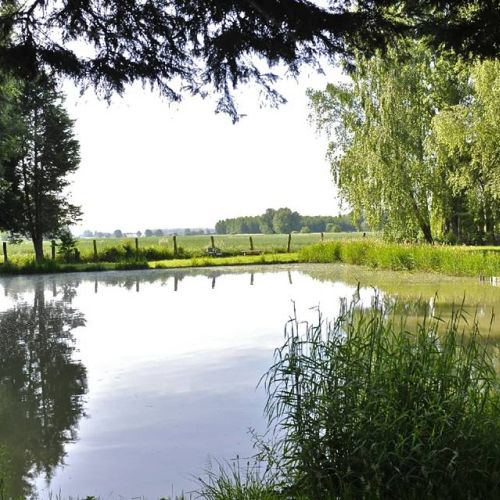 camping-alouettes-image (22).jpg