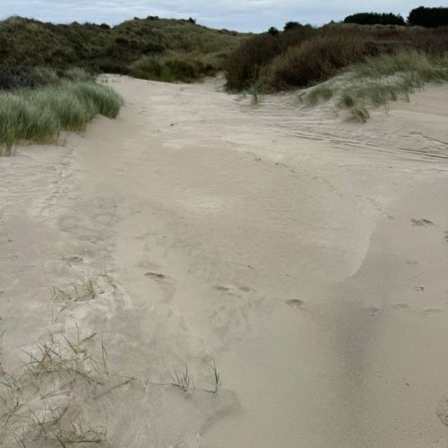 camping-cristal-opale (24).jpg